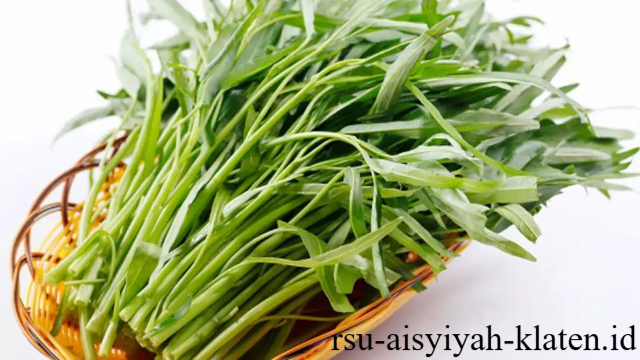 Inilah 7 Manfaat Kangkung untuk Kesehatan Tubuh