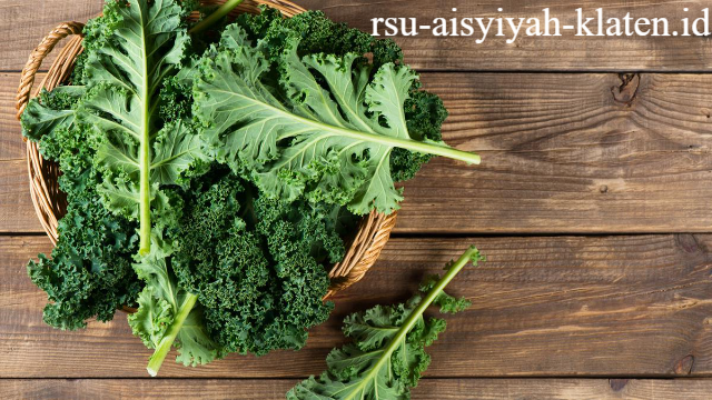 8 Manfaat Kale untuk Kesehatan Tubuh